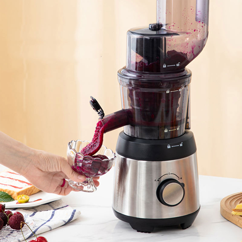 عصارة فواكه و صانعة ايس كريم  2 في 1