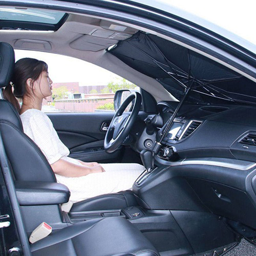 مظلة حماية السيارة الداخلية